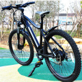 Manufacture Downhill mountain ebike sports travel MTB ebike 36v250w geared motor electric bike wholesale